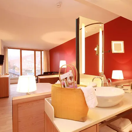 Erzherzog Johann Otel Bad Aussee